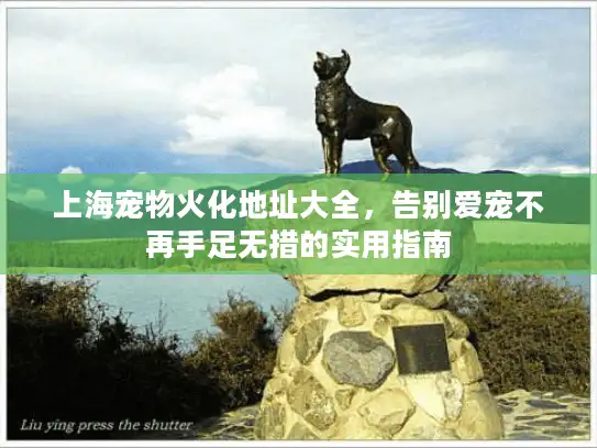 上海宠物火化地址大全，告别爱宠不再手足无措的实用指南