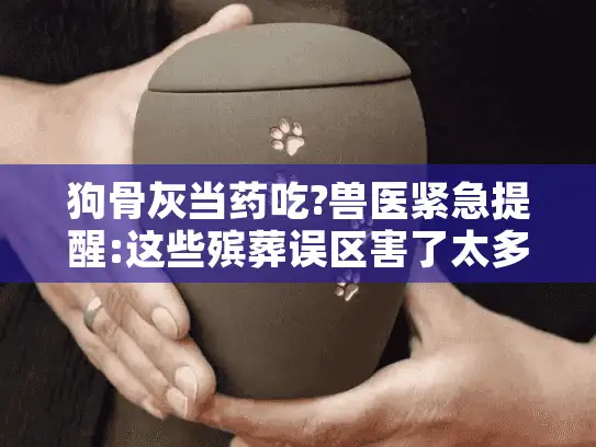 狗骨灰当药吃?兽医紧急提醒:这些殡葬误区害了太多人
