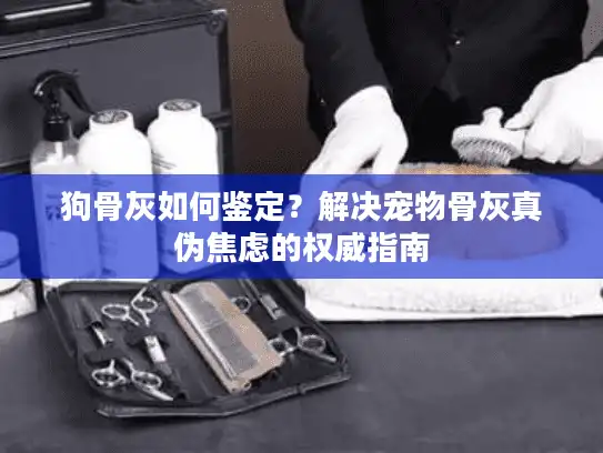 狗骨灰如何鉴定？解决宠物骨灰真伪焦虑的权威指南