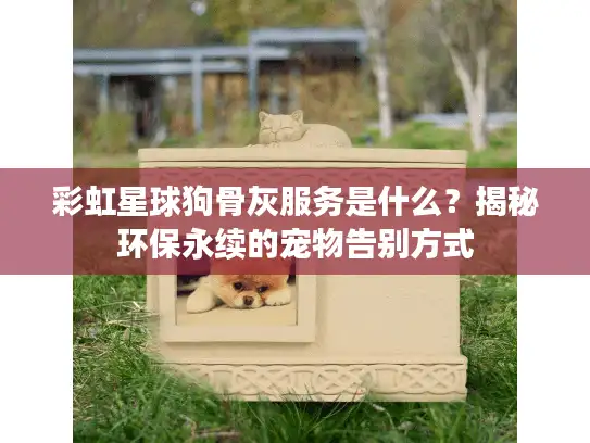 彩虹星球狗骨灰服务是什么？揭秘环保永续的宠物告别方式