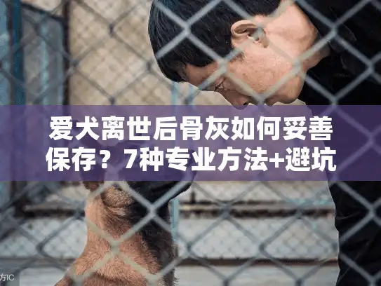 爱犬离世后骨灰如何妥善保存？7种专业方法+避坑指南
