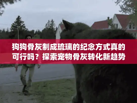 狗狗骨灰制成琉璃的纪念方式真的可行吗？探索宠物骨灰转化新趋势