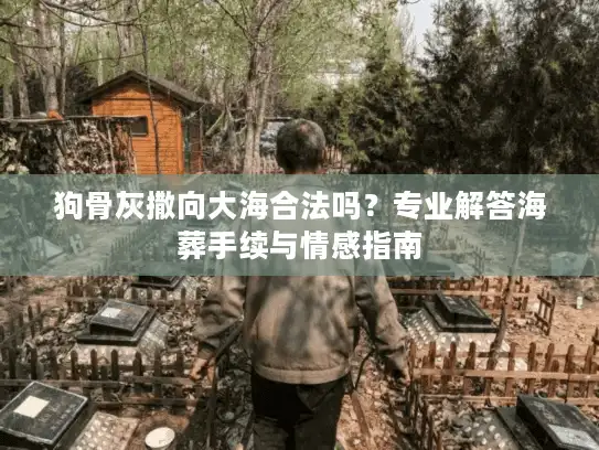 狗骨灰撒向大海合法吗？专业解答海葬手续与情感指南