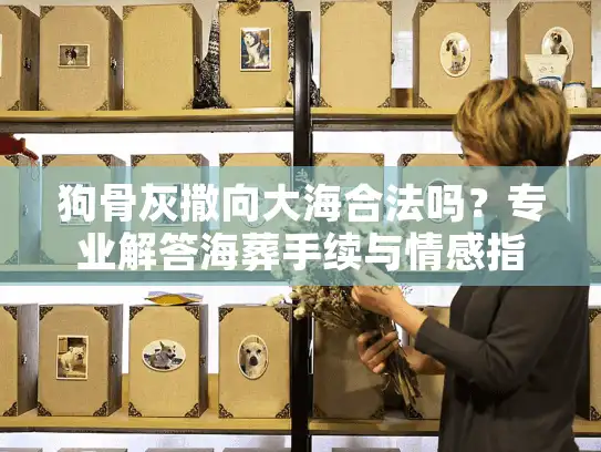 狗骨灰撒向大海合法吗？专业解答海葬手续与情感指南