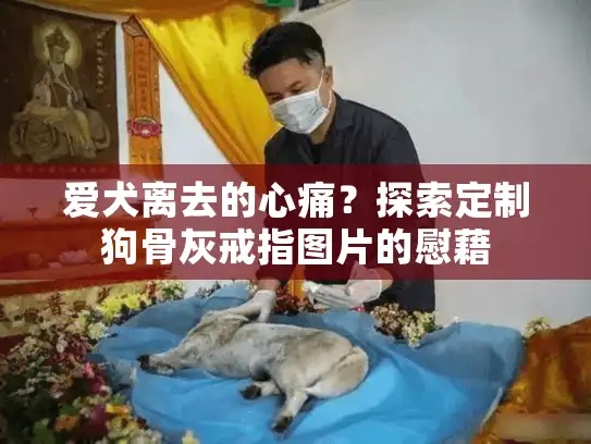爱犬离去的心痛？探索定制狗骨灰戒指图片的慰藉