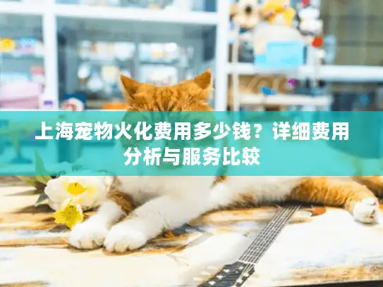 上海宠物火化费用多少钱？详细费用分析与服务比较
