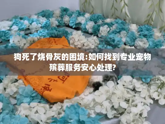 狗死了烧骨灰的困境:如何找到专业宠物殡葬服务安心处理?