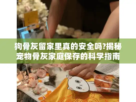 狗骨灰留家里真的安全吗?揭秘宠物骨灰家庭保存的科学指南
