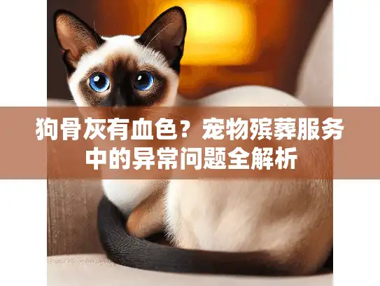 狗骨灰有血色？宠物殡葬服务中的异常问题全解析