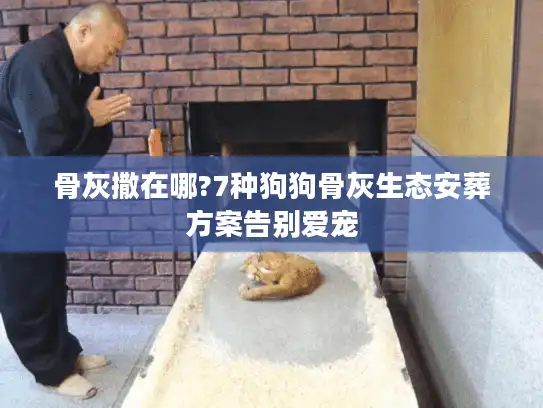 骨灰撒在哪?7种狗狗骨灰生态安葬方案告别爱宠