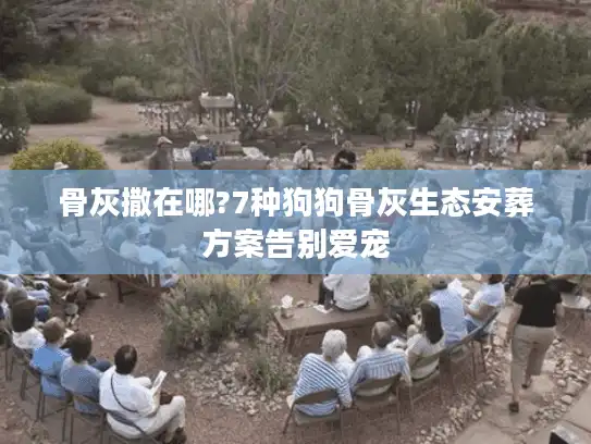 骨灰撒在哪?7种狗狗骨灰生态安葬方案告别爱宠