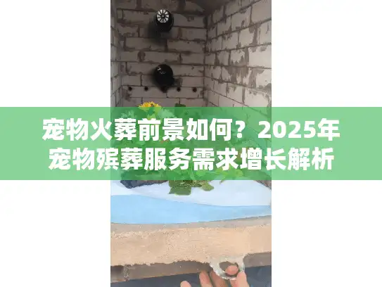 宠物火葬前景如何？2025年宠物殡葬服务需求增长解析