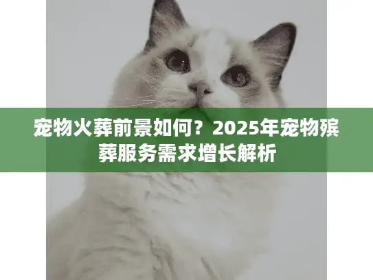 宠物火葬前景如何？2025年宠物殡葬服务需求增长解析