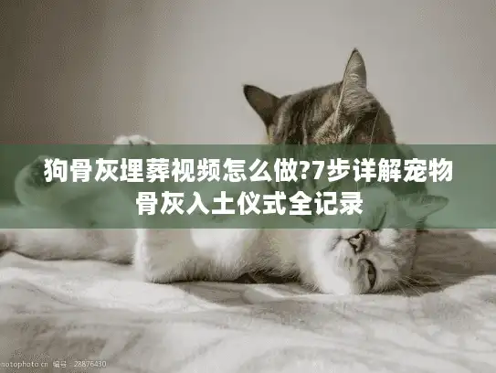 狗骨灰埋葬视频怎么做?7步详解宠物骨灰入土仪式全记录