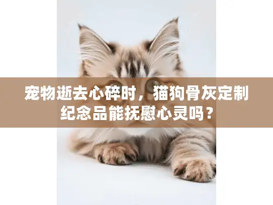 宠物逝去心碎时，猫狗骨灰定制纪念品能抚慰心灵吗？