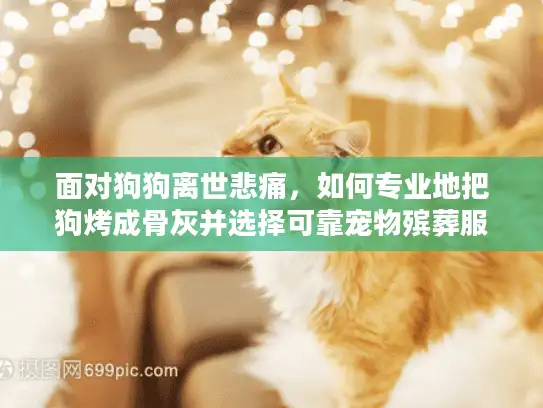 面对狗狗离世悲痛，如何专业地把狗烤成骨灰并选择可靠宠物殡葬服务？