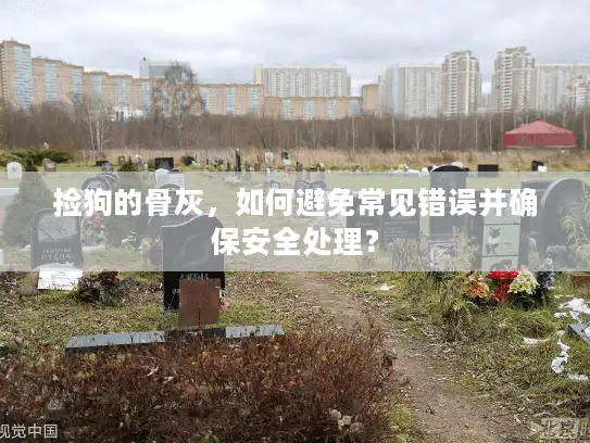 捡狗的骨灰，如何避免常见错误并确保安全处理？