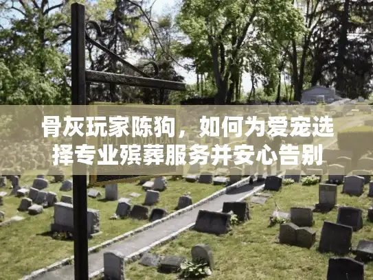 骨灰玩家陈狗，如何为爱宠选择专业殡葬服务并安心告别