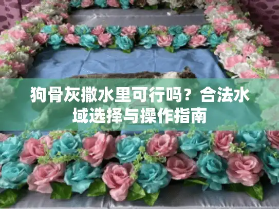 狗骨灰撒水里可行吗？合法水域选择与操作指南