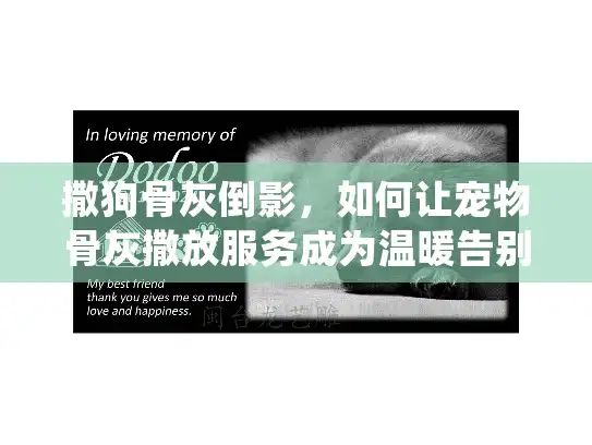 撒狗骨灰倒影，如何让宠物骨灰撒放服务成为温暖告别？43字符)