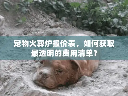 宠物火葬炉报价表，如何获取最透明的费用清单？