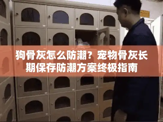 狗骨灰怎么防潮？宠物骨灰长期保存防潮方案终极指南