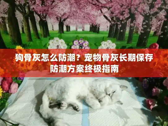 狗骨灰怎么防潮？宠物骨灰长期保存防潮方案终极指南