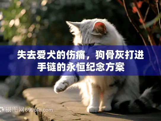 失去爱犬的伤痛，狗骨灰打进手链的永恒纪念方案