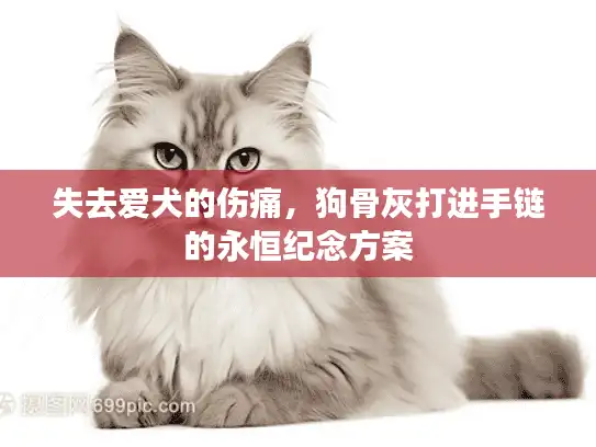 失去爱犬的伤痛，狗骨灰打进手链的永恒纪念方案