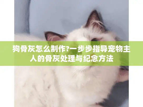 狗骨灰怎么制作?一步步指导宠物主人的骨灰处理与纪念方法
