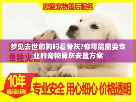 梦见去世的狗叼着骨灰?你可能需要专业的宠物骨灰安置方案