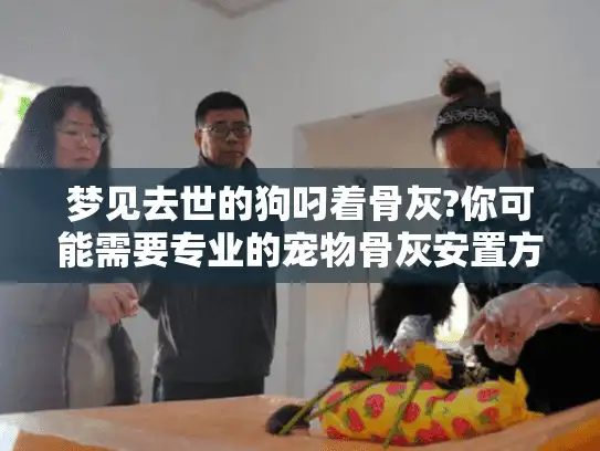 梦见去世的狗叼着骨灰?你可能需要专业的宠物骨灰安置方案