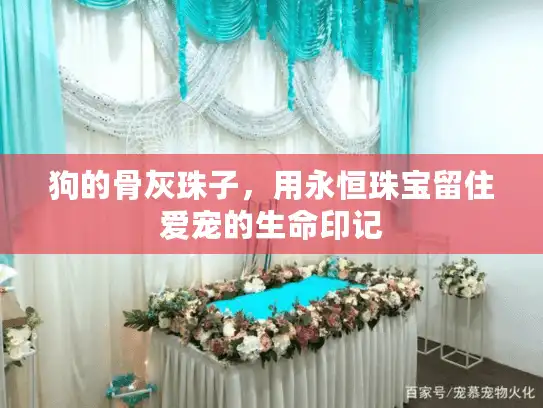 狗的骨灰珠子，用永恒珠宝留住爱宠的生命印记