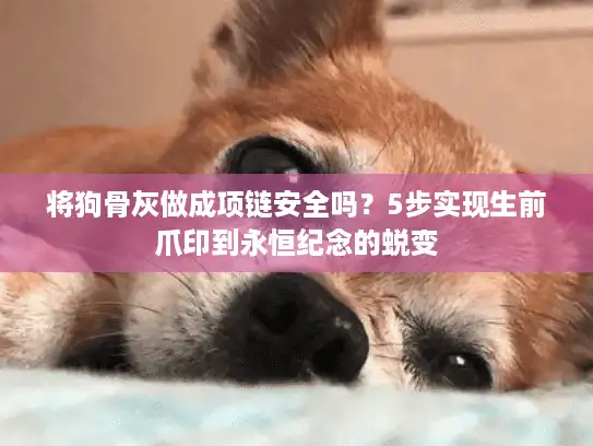 将狗骨灰做成项链安全吗？5步实现生前爪印到永恒纪念的蜕变