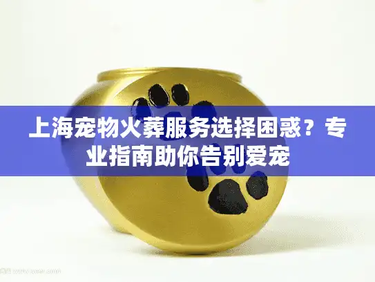 上海宠物火葬服务选择困惑？专业指南助你告别爱宠