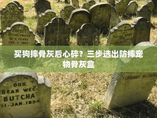 买狗摔骨灰后心碎？三步选出防摔宠物骨灰盒