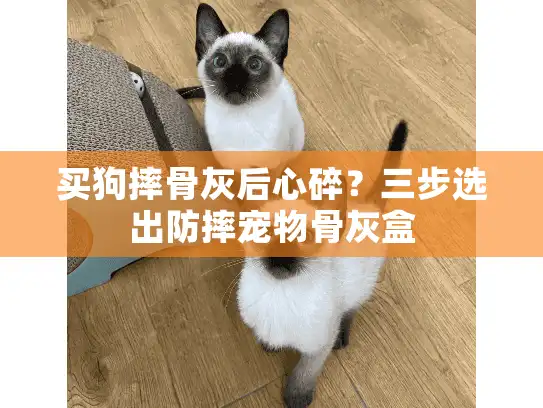 买狗摔骨灰后心碎？三步选出防摔宠物骨灰盒