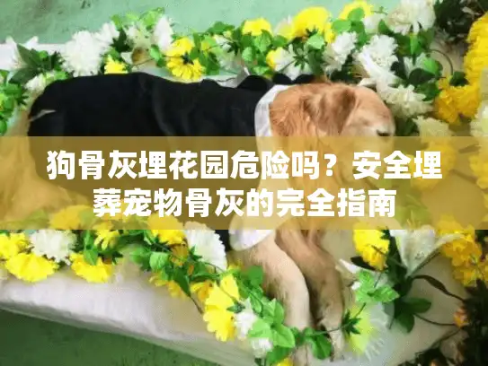 狗骨灰埋花园危险吗？安全埋葬宠物骨灰的完全指南