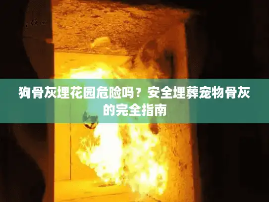 狗骨灰埋花园危险吗？安全埋葬宠物骨灰的完全指南