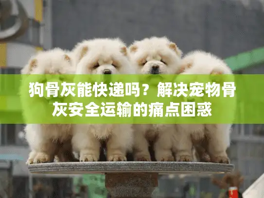 狗骨灰能快递吗？解决宠物骨灰安全运输的痛点困惑