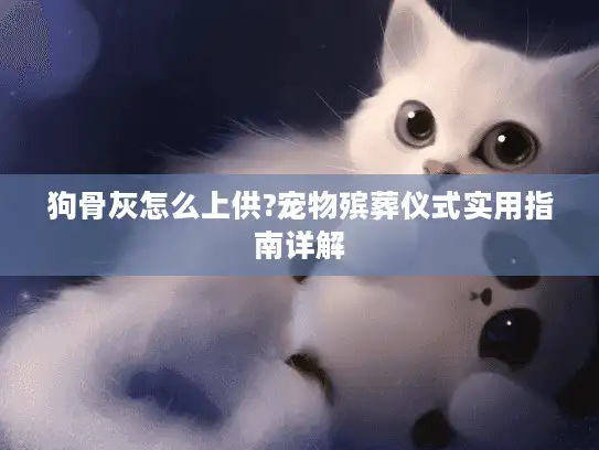 狗骨灰怎么上供?宠物殡葬仪式实用指南详解