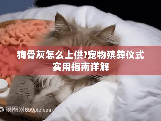 狗骨灰怎么上供?宠物殡葬仪式实用指南详解