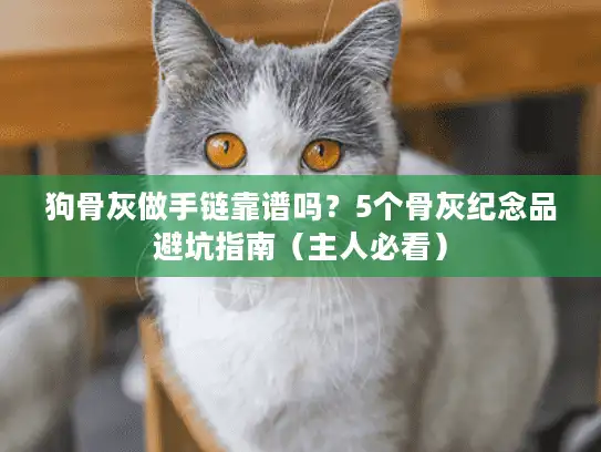 狗骨灰做手链靠谱吗？5个骨灰纪念品避坑指南（主人必看）
