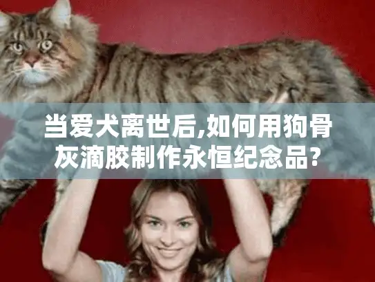 当爱犬离世后,如何用狗骨灰滴胶制作永恒纪念品?