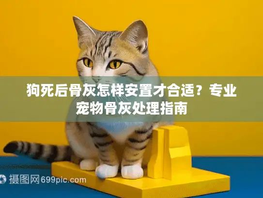 狗死后骨灰怎样安置才合适？专业宠物骨灰处理指南