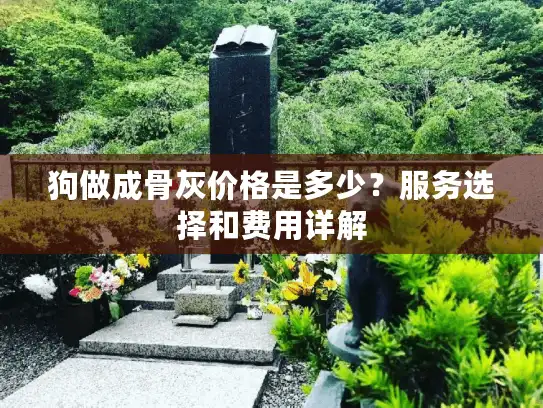狗做成骨灰价格是多少？服务选择和费用详解
