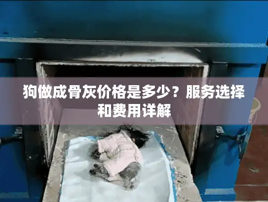 狗做成骨灰价格是多少？服务选择和费用详解