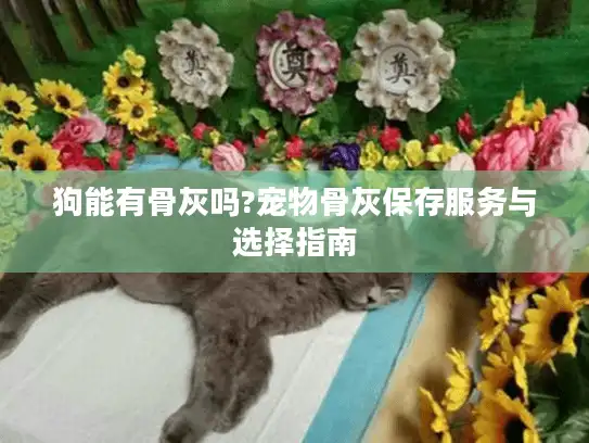 狗能有骨灰吗?宠物骨灰保存服务与选择指南