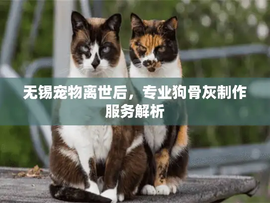 无锡宠物离世后，专业狗骨灰制作服务解析