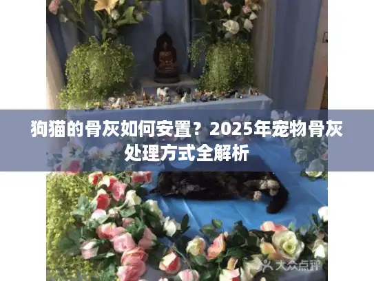 狗猫的骨灰如何安置？2025年宠物骨灰处理方式全解析